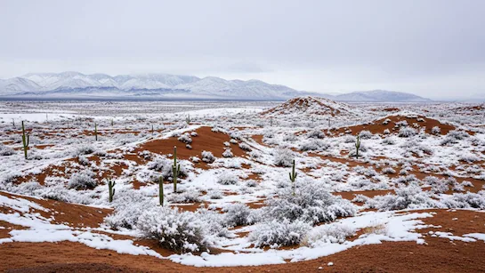 High-altitude desert landscape during winter